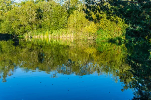 Herbst Laub Spiegelt Sich Diesem Teich Der Normandie Park Washington — Stockfoto