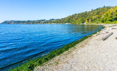 Seahurst Beach Park'ta kıyısındaki sonbaharında bir görünüm.
