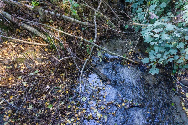 Blick Von Oben Auf Einen Bach Mit Ästen Und Blättern — Stockfoto