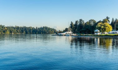 Lake Washington Mount Rainier mesafe ile kıyı bir görünümünü.