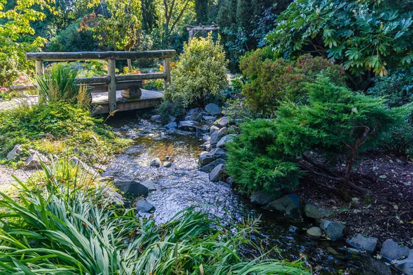 View Small Wooden Bridge Stream Seatac Washington — Stock Photo, Image