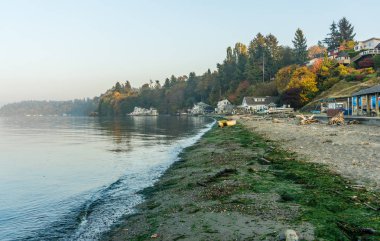 Sonbaharda kıyı çizgi nokta, Washington bir görünümünü.