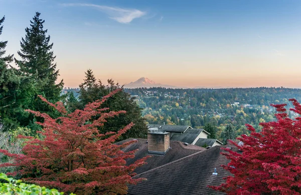 Una Vista Las Hojas Rojas Atumn Con Monte Rainier Distancia — Foto de Stock