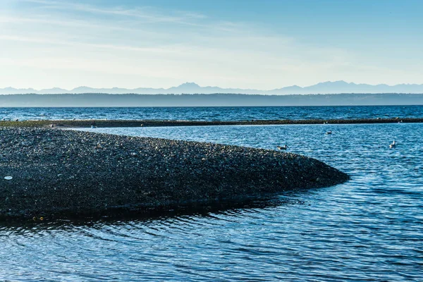 Tide Pool Med Bergen Fjärran Pacific Northwest — Stockfoto