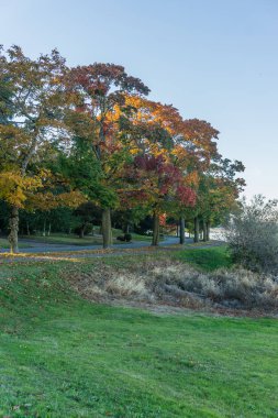 Sonbahar renkleri Seattle Washington Gölü kıyı üzerinde sergileniyor.