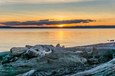 Dalgaların karaya attığı odun ön planda güneş ayarlarla bir görüntü. Fotoğraf çekmeden Normandy Park, Washington.