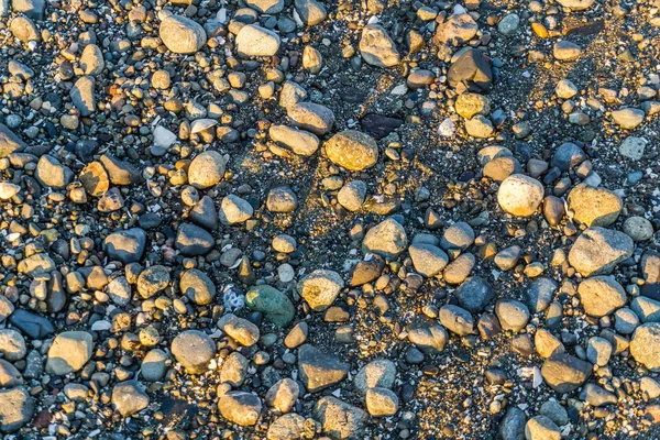 Ένας Πυροβολισμός Closeup Των Βράχων Της Ακτογραμμή Του Βορειοδυτικού Ειρηνικού — Φωτογραφία Αρχείου