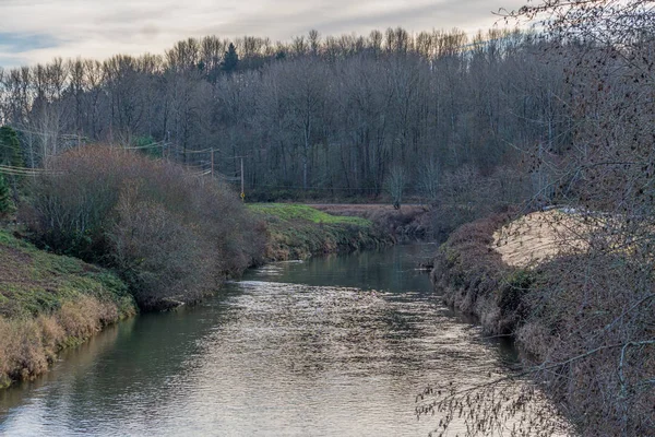 Ein Blick Auf Den Grünen Fluss Kent Washington Ist Winter — Stockfoto