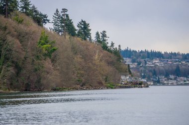 Evleri onton Puget Sound Washington Statle bak.