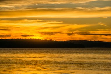 Everything is golden as the sun sets over the Puget Sound.