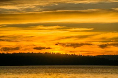 Everything is golden as the sun sets over the Puget Sound.