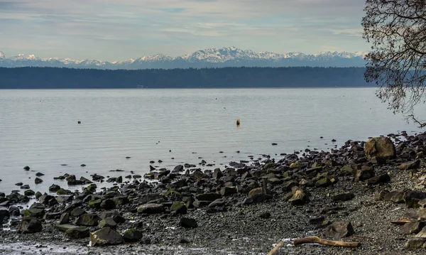 Een Weergave Van Olympische Bergketen Staat Washington — Stockfoto