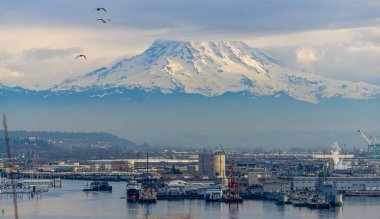Tacoma bağlantı noktası ve Mount Rainier bir görünüm.