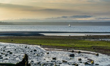 Bir veiw kıyı ve Puget Sound.