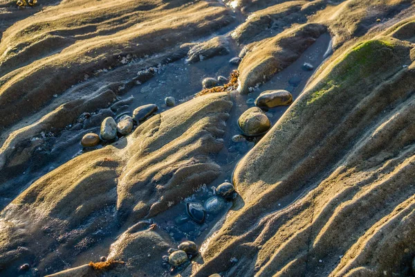 西西雅图海岸线上岩石结构的特写镜头 — 图库照片