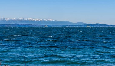 Seahurst plaj 3 dağlardan