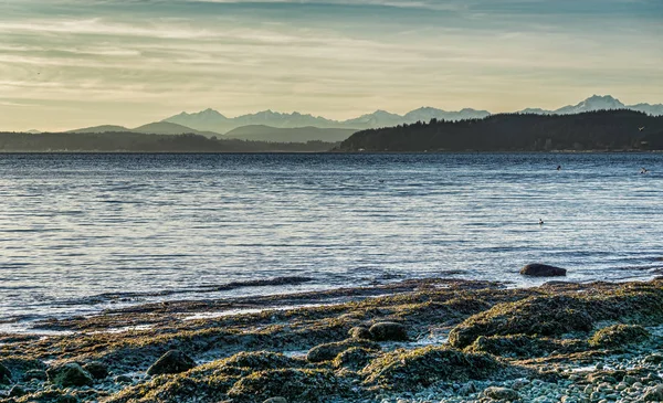 Paisagem Puget Sound Mountain 2 — Fotografia de Stock