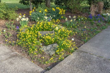 Kaldırım bahar Çiçek Bahçesi