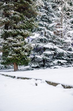 Mahalle Kış beyaz 2