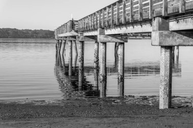 Puget ses Iskelesi 7