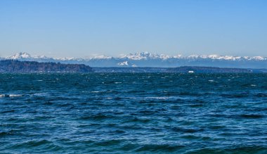 Seahurst Beach 10 Olimpiyatları