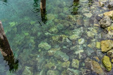 Sualtı Shoreline Rocks