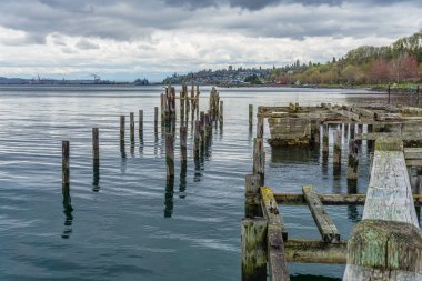 Çürüyen pilings peyzaj 5