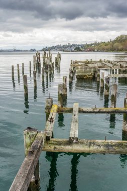 Çürüyen Kazıklar Manzara 6