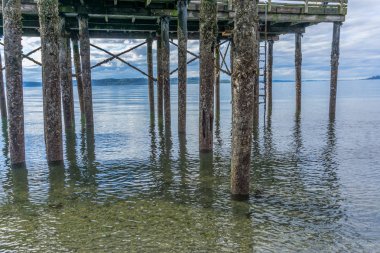 Düşük Gelgit 5'te Pier Kazıklar