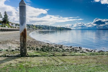 Düşük Gelgit Boardwalk 5