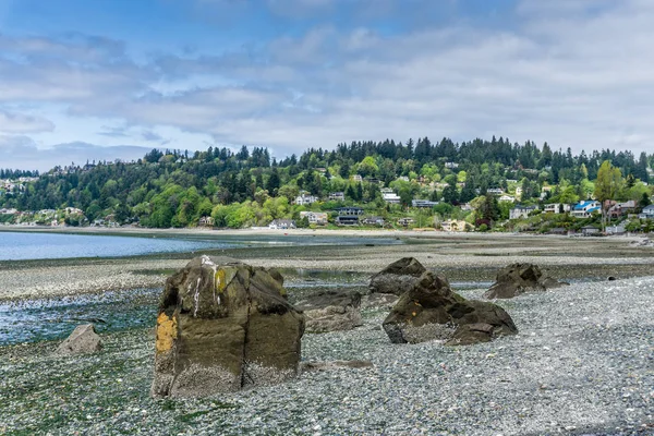 Low Tide Washington landskap 2 — Stockfoto