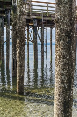 Düşük Gelgit 3 At Pier Kazıklar