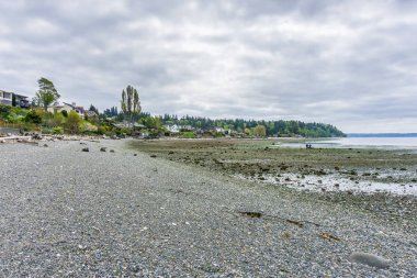 Aşırı Gelgit Manzara