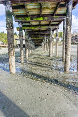 Düşük Gelgit 7 at Pier Kazıklar