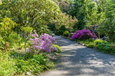 Bahçe Yolu Manzara 2