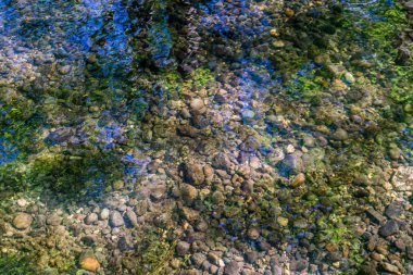 Clear Creek Yakın Çekim