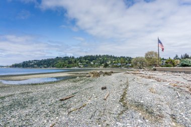 Düşük Gelgit Washington Manzara 5