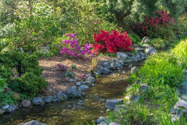 Kayalık Bahçe Deresi