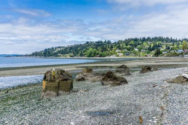 Low Tide Washington landschap 3 — Stockfoto