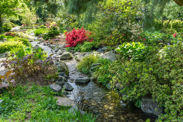 Red Flowers And Creek 2