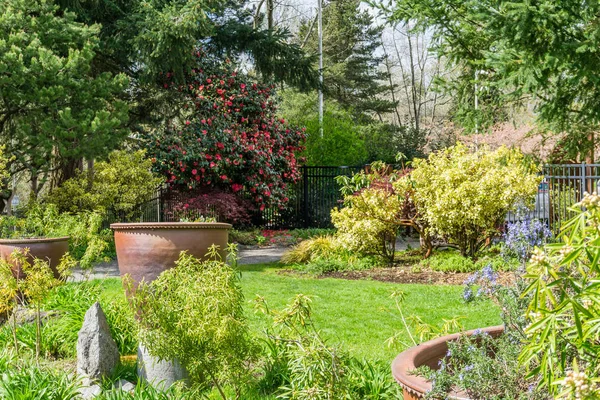 Jardín con macetas grandes — Foto de Stock