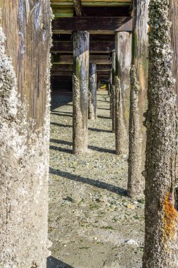 Düşük Gelgit at Pier Kazıklar