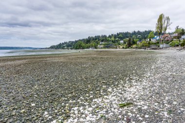 Aşırı Gelgit Manzara 6