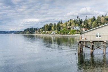 Washington Sahil Şeridi Manzara