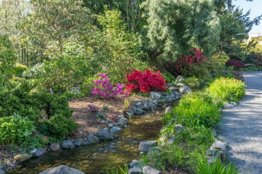 Kayalık Bahçe Deresi 2