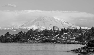 Tacoma Evleri Ve Rainier 4