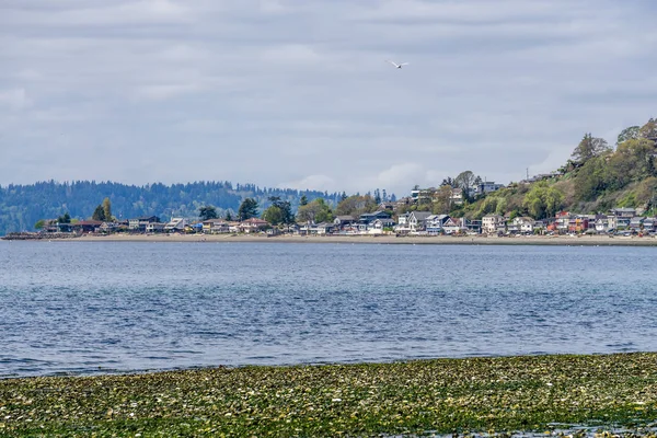 Tres casas en la costa de Tree Point — Foto de Stock