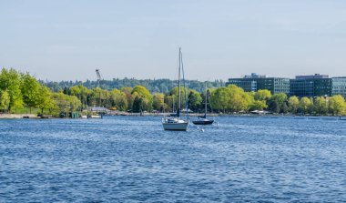 Park Shoreline Ve Tekneler 2