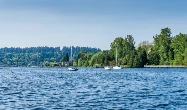 Veleros en el lago — Foto de Stock