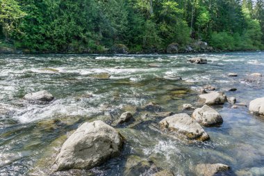 Evergreens Ve Nehir 5